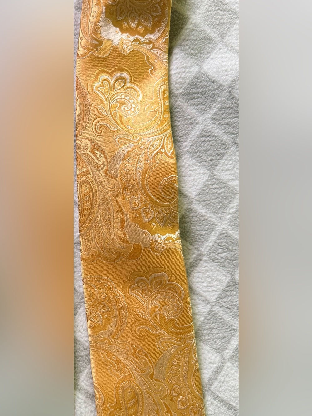 Canali Paisley Men's Tie
